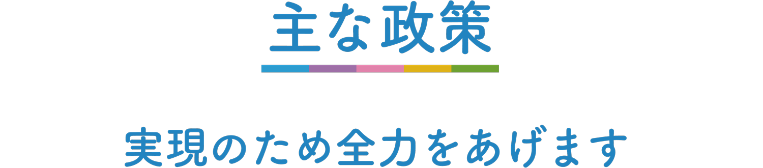 主な政策